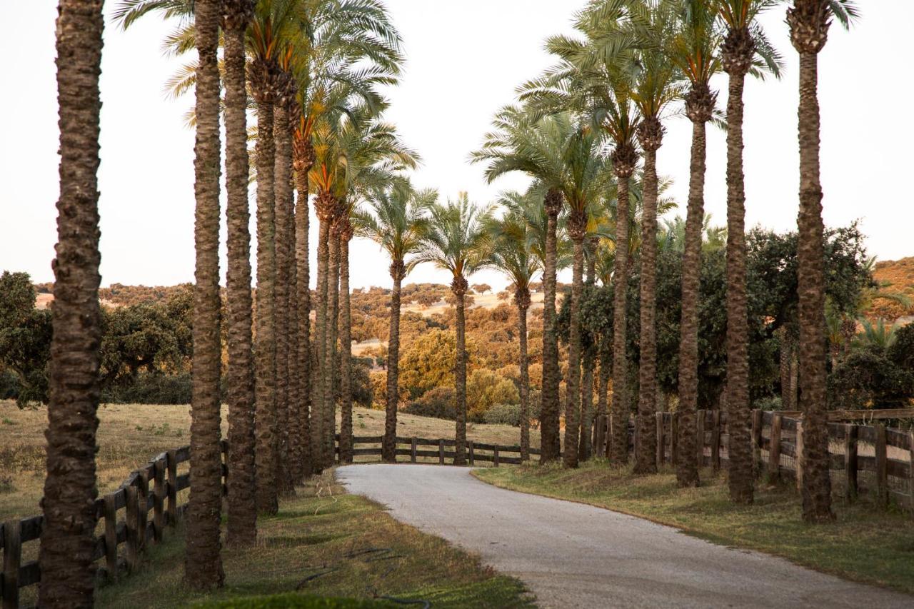 Alojamiento Rural Finca Barral El Garrobo エクステリア 写真