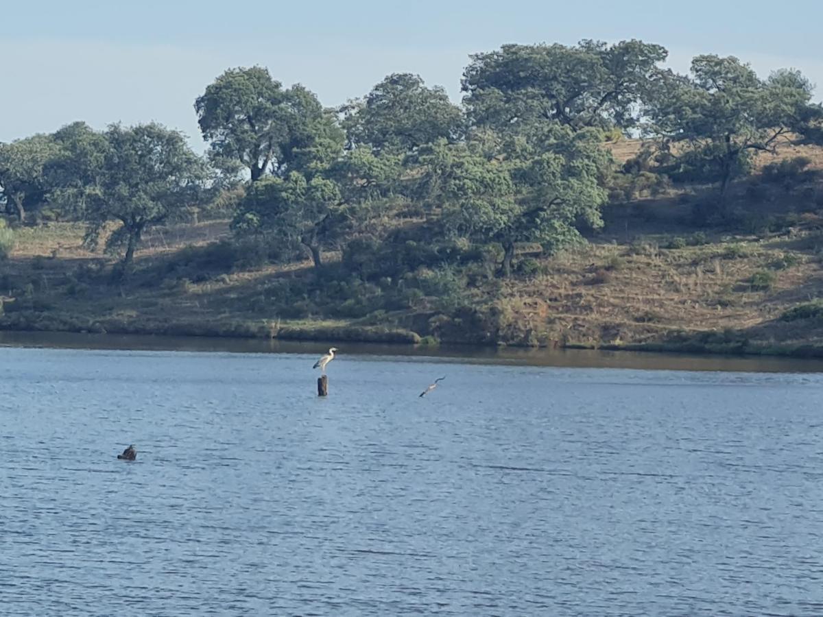 Alojamiento Rural Finca Barral El Garrobo エクステリア 写真
