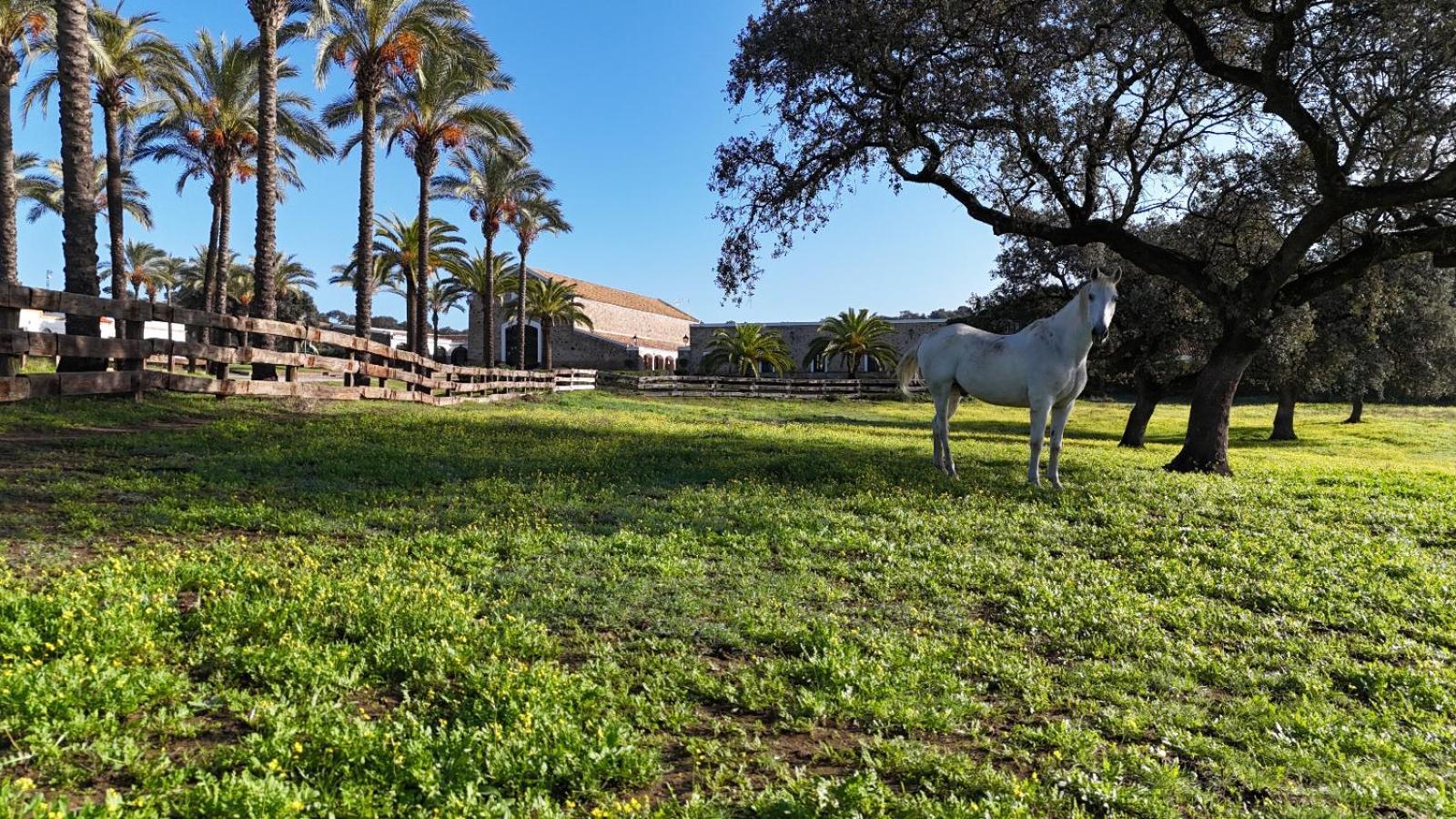 Alojamiento Rural Finca Barral El Garrobo エクステリア 写真