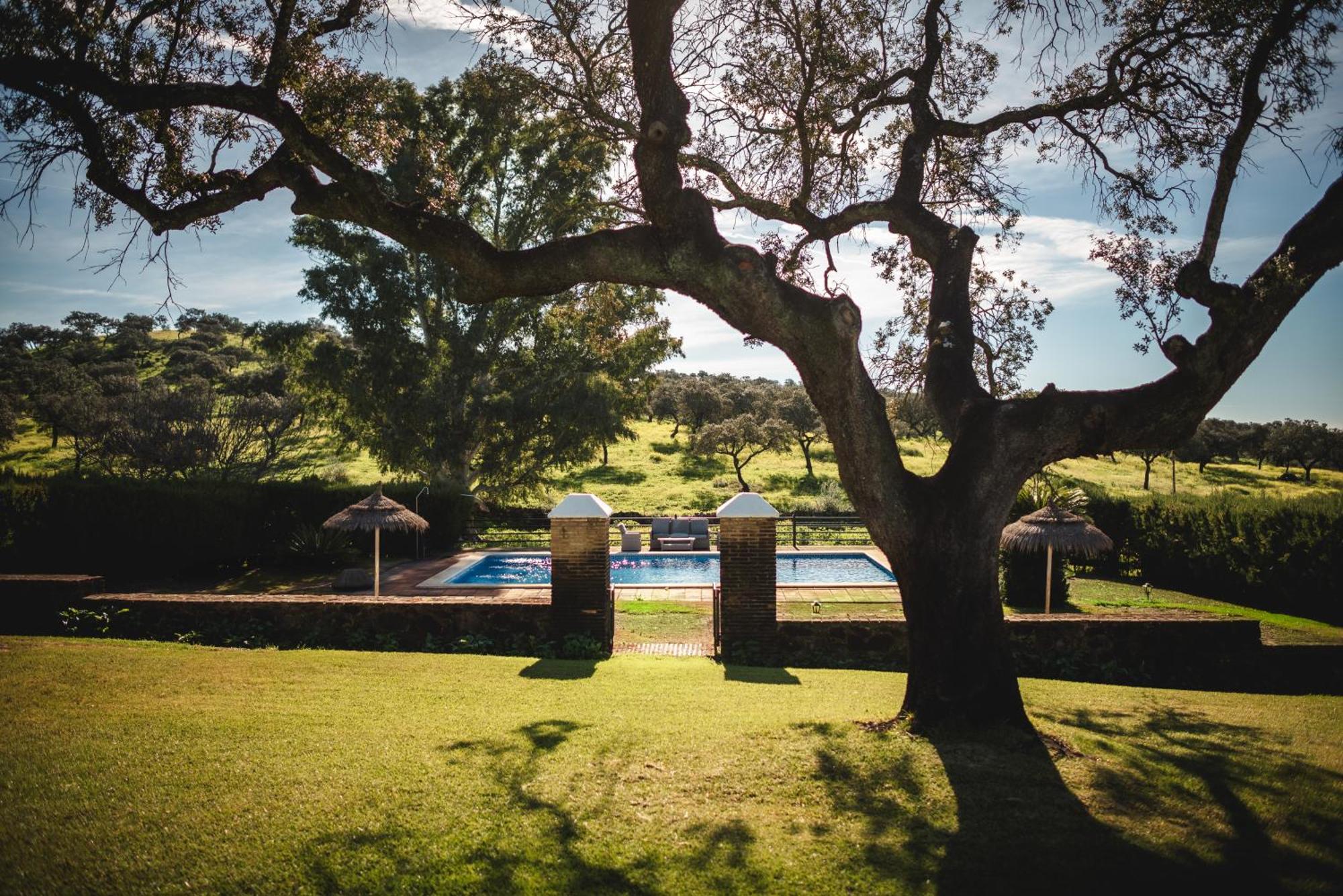 Alojamiento Rural Finca Barral El Garrobo エクステリア 写真