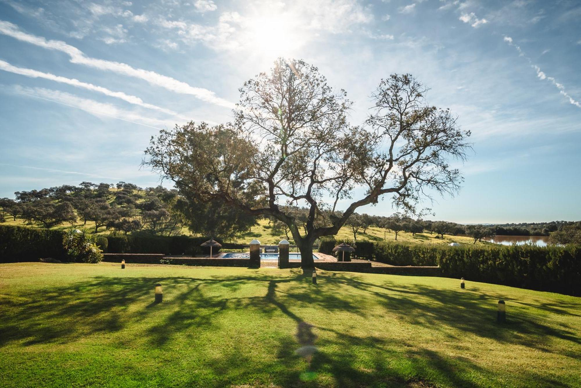 Alojamiento Rural Finca Barral El Garrobo エクステリア 写真