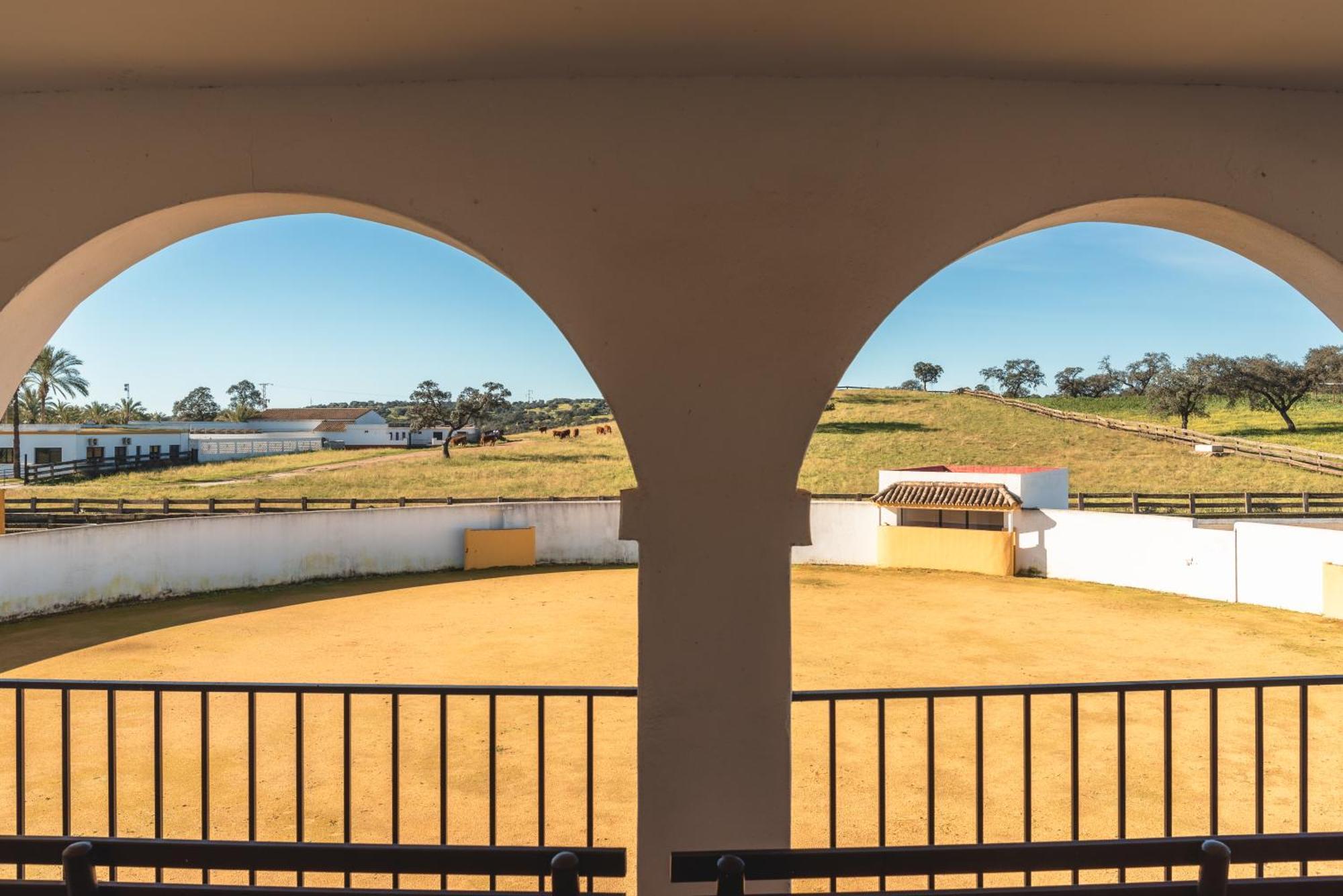 Alojamiento Rural Finca Barral El Garrobo エクステリア 写真