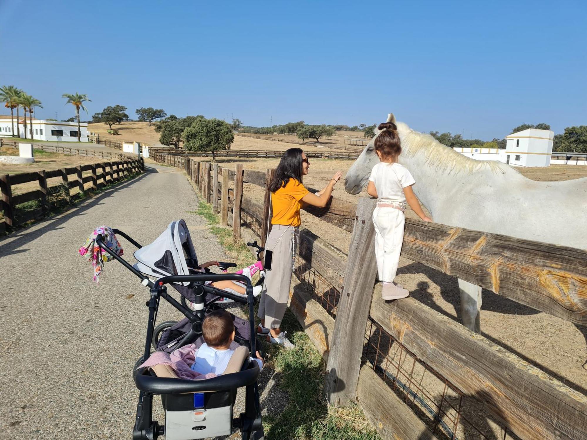 Alojamiento Rural Finca Barral El Garrobo エクステリア 写真