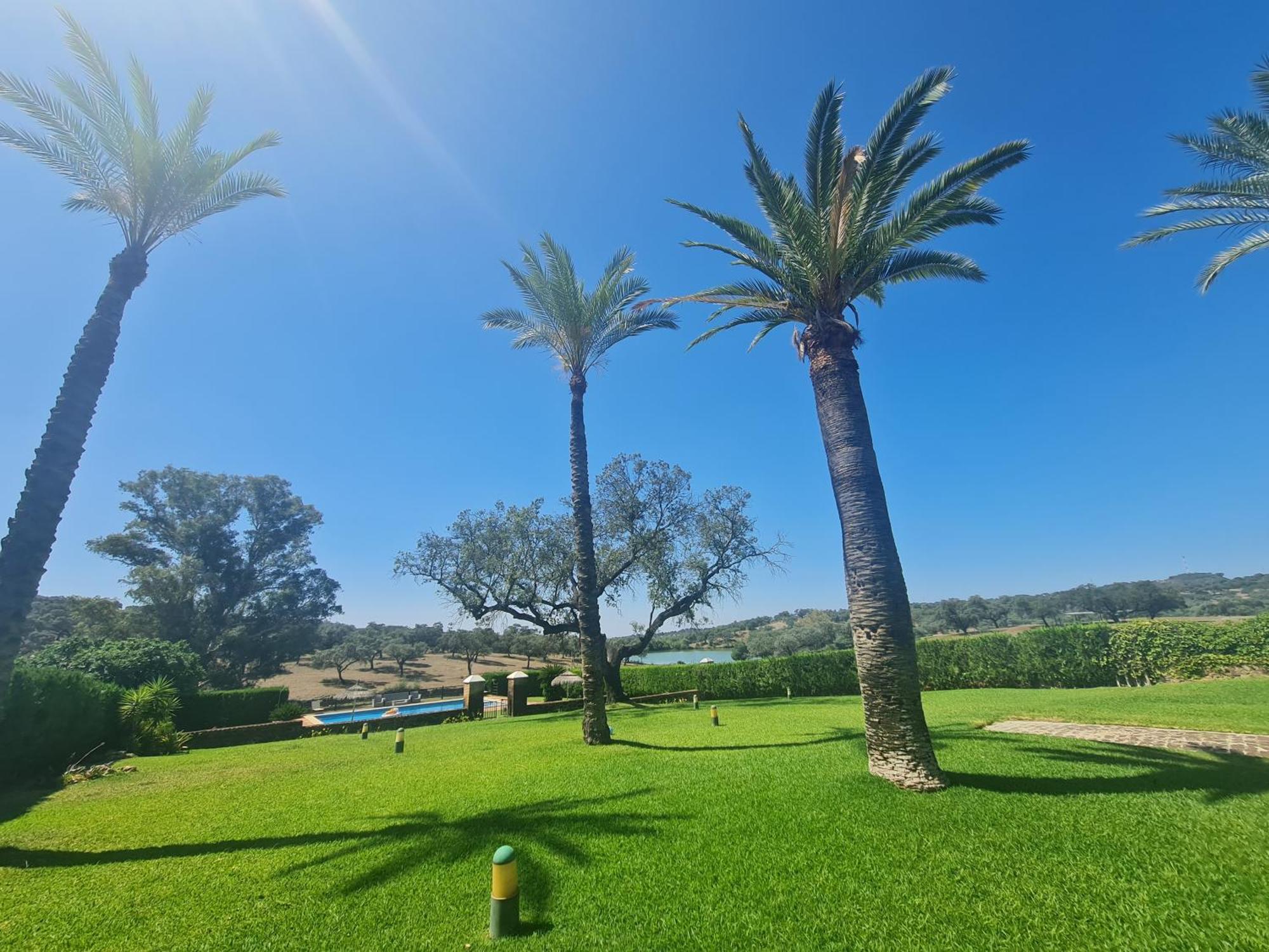 Alojamiento Rural Finca Barral El Garrobo エクステリア 写真