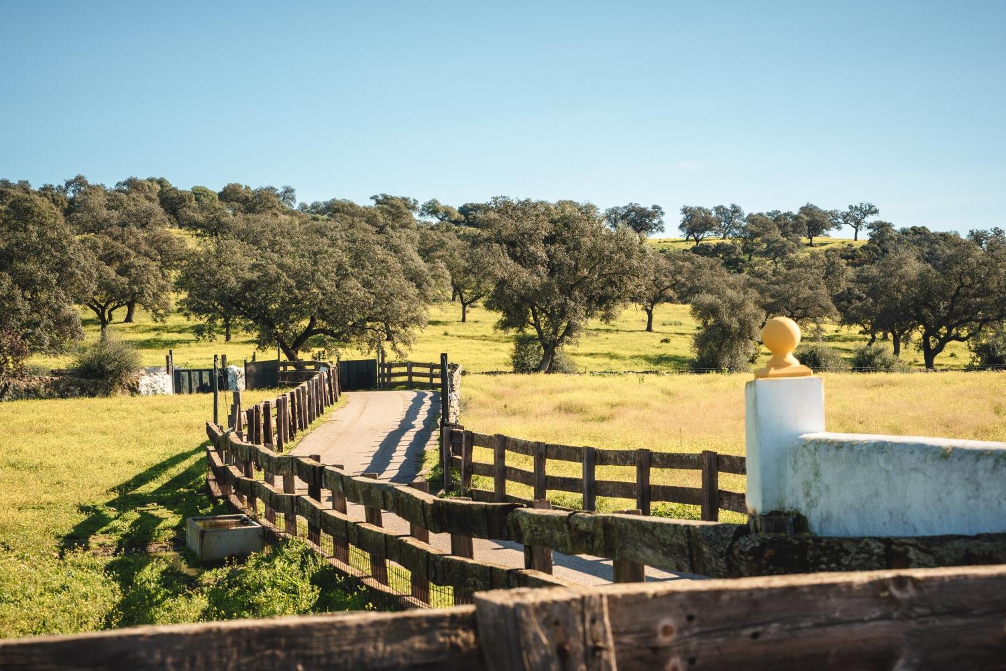Alojamiento Rural Finca Barral El Garrobo エクステリア 写真