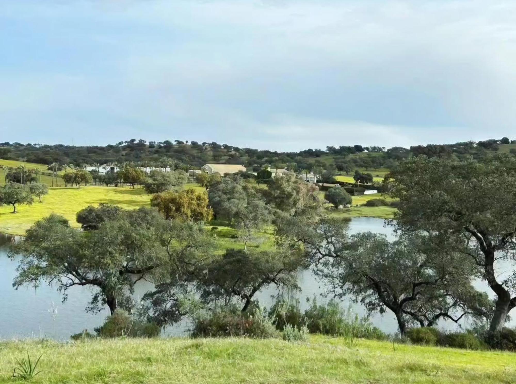 Alojamiento Rural Finca Barral El Garrobo エクステリア 写真