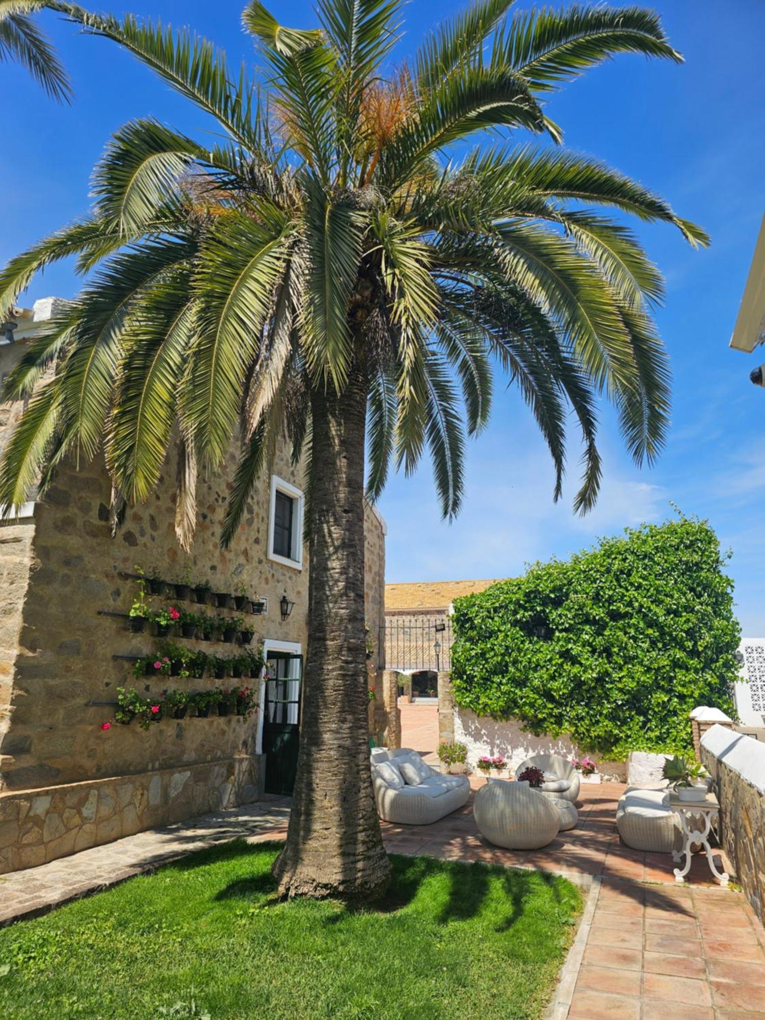 Alojamiento Rural Finca Barral El Garrobo エクステリア 写真
