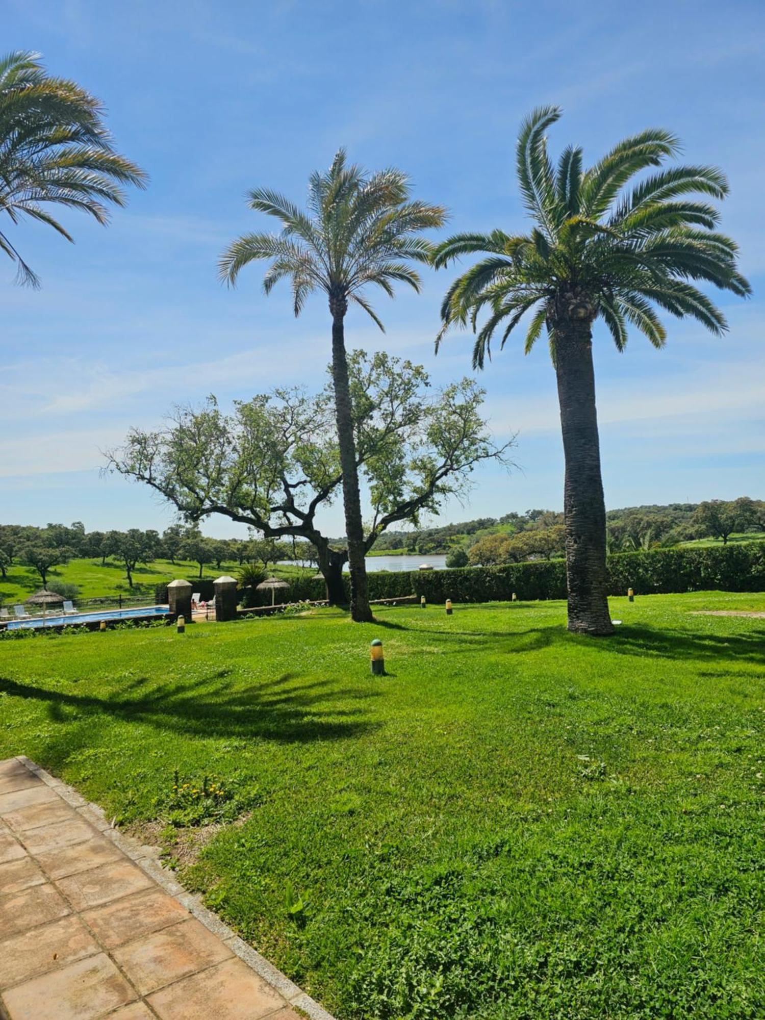 Alojamiento Rural Finca Barral El Garrobo エクステリア 写真